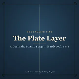 The Plate Layer